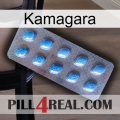 Kamagara viagra3